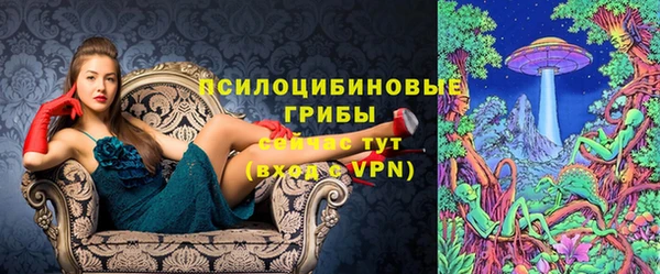 крисы Алексеевка