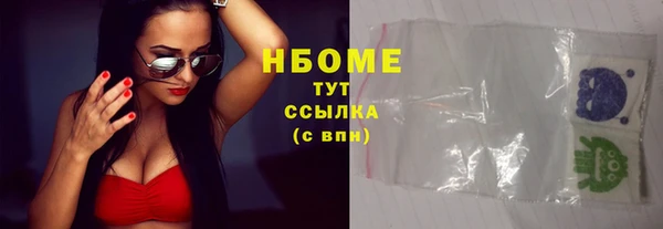 индика Алзамай