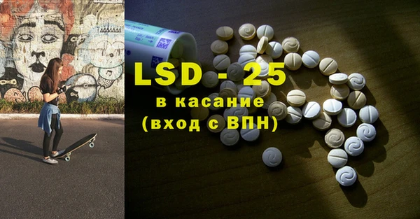 индика Алзамай