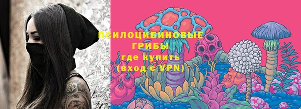 соль ск Мегион