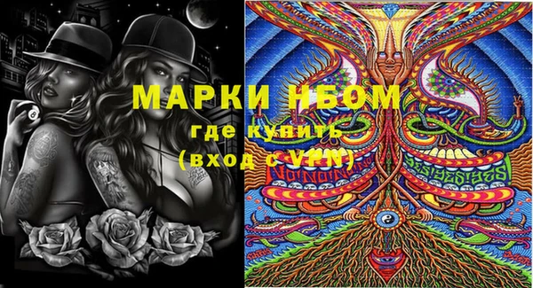 индика Алзамай