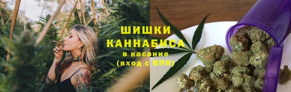 крисы Алексеевка