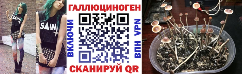 где найти   Салават  Псилоцибиновые грибы мухоморы 